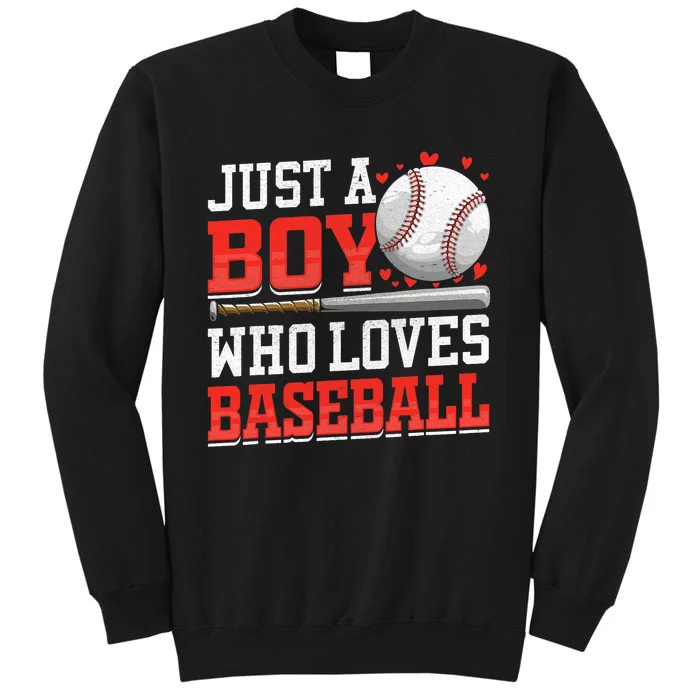 American Sport Just A Bo_y Who Loves Baseball Gifts Sweatshirt