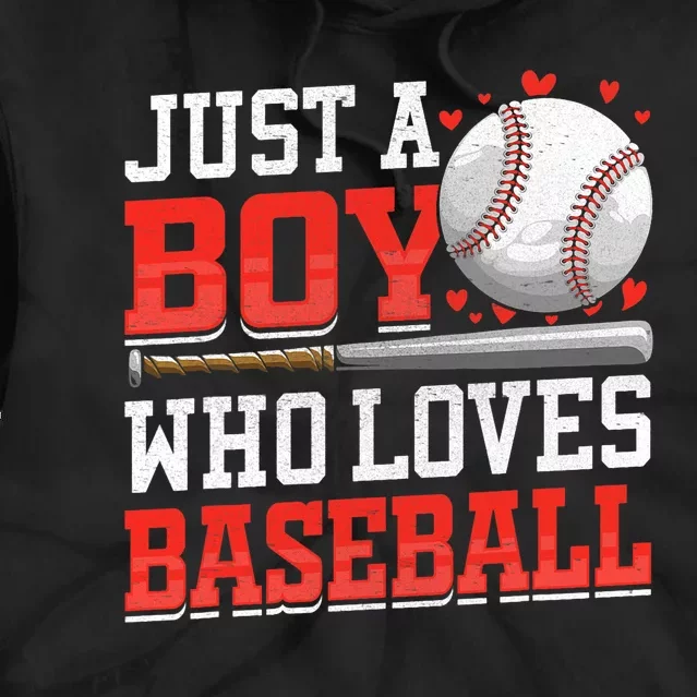 American Sport Just A Bo_y Who Loves Baseball Gifts Tie Dye Hoodie