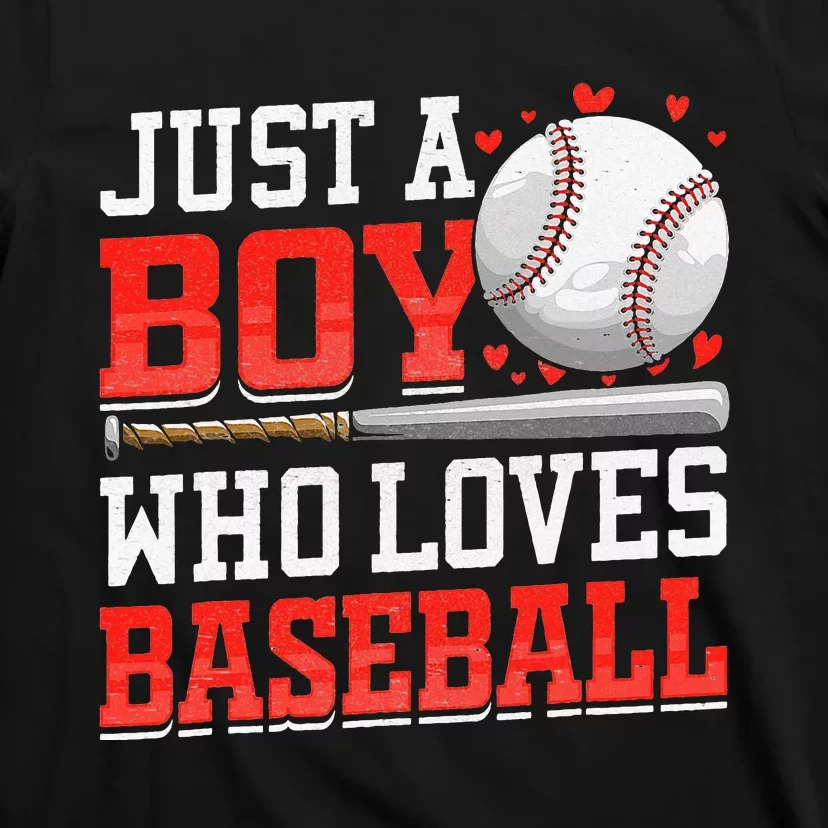 American Sport Just A Who Loves Baseball Gifts T-Shirt