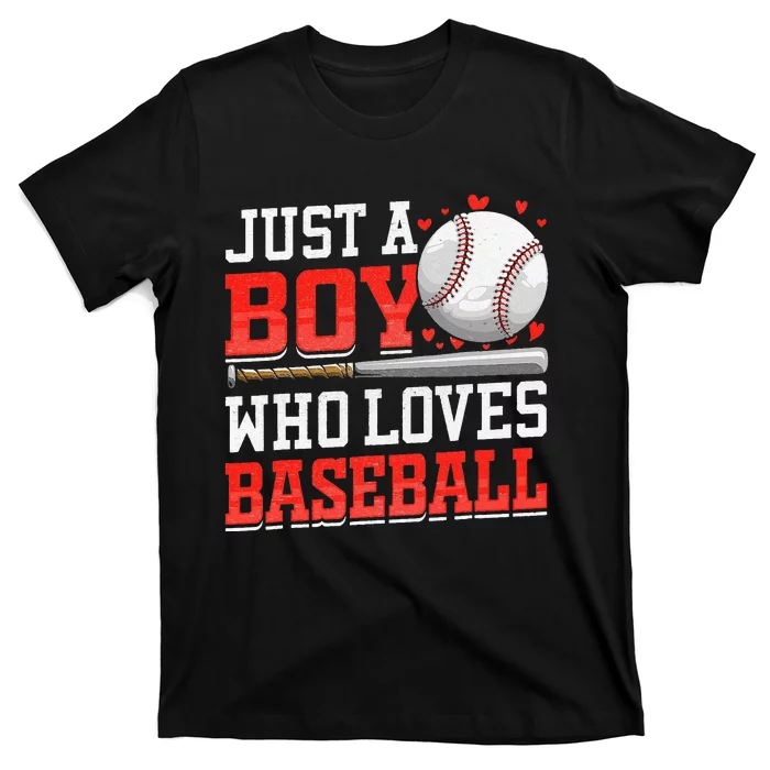 American Sport Just A Who Loves Baseball Gifts T-Shirt