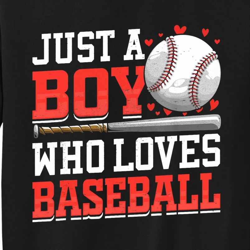 American Sport Just A Boy Who Loves Baseball Gifts For Boy Tall Sweatshirt