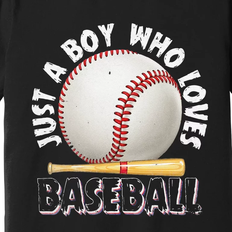 American Sport Just A Boy Who Loves Baseball Gifts For Premium T-Shirt