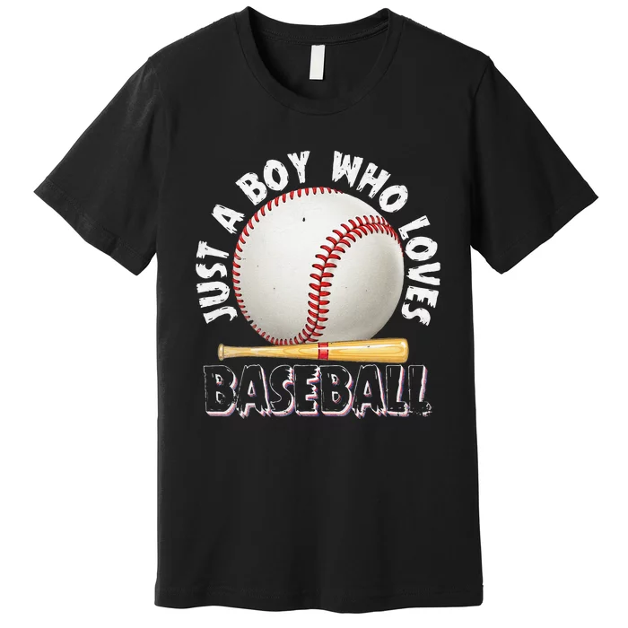 American Sport Just A Boy Who Loves Baseball Gifts For Premium T-Shirt