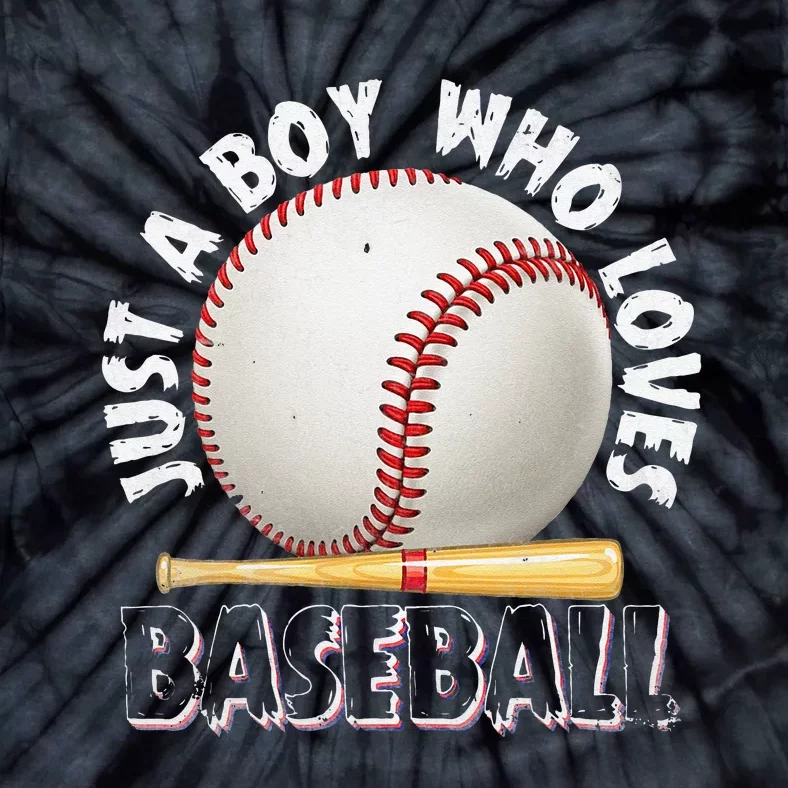 American Sport Just A Boy Who Loves Baseball Gifts For Tie-Dye T-Shirt