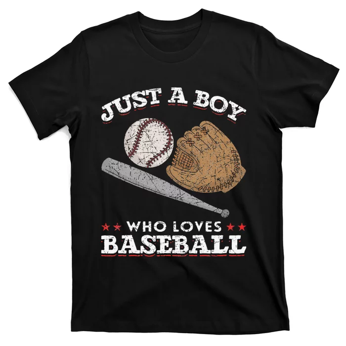 American Sport  Just A  Who Loves Baseball T-Shirt