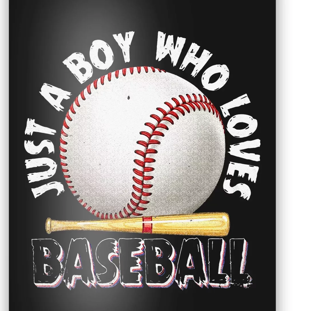 American Sport Just A Who Loves Baseball Poster