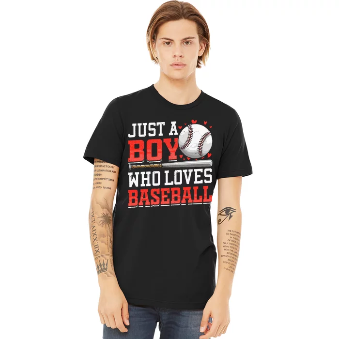 American Sport Just A Boy Who Loves Baseball Gifts Premium T-Shirt