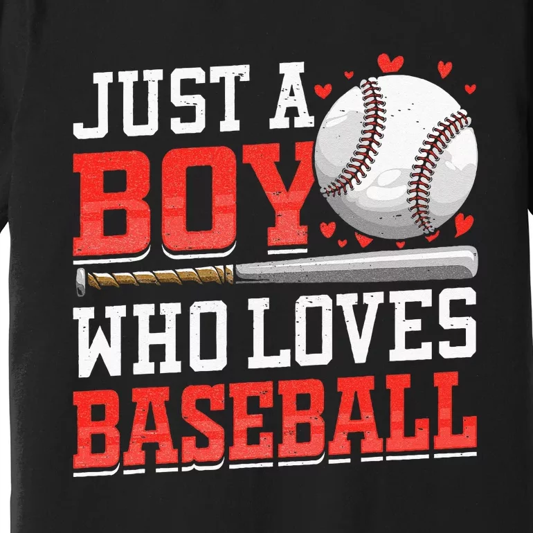 American Sport Just A Boy Who Loves Baseball Gifts Premium T-Shirt