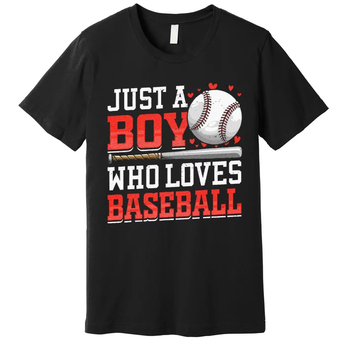 American Sport Just A Boy Who Loves Baseball Gifts Premium T-Shirt