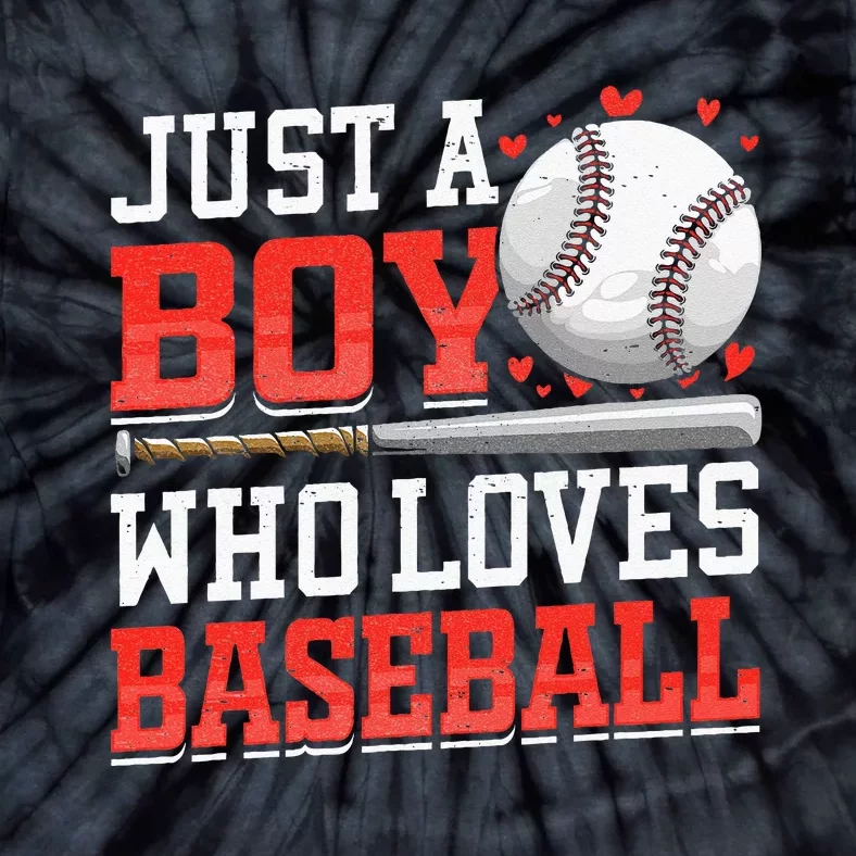 American Sport Just A Boy Who Loves Baseball Gifts Tie-Dye T-Shirt