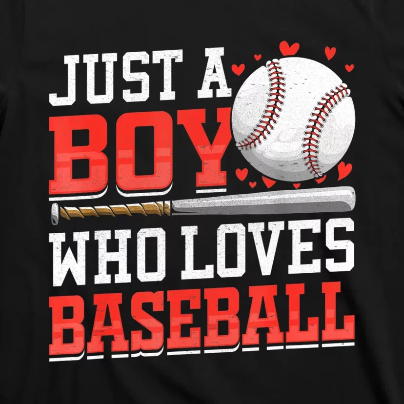 American Sport Just A Who Loves Baseball Gifts For T-Shirt