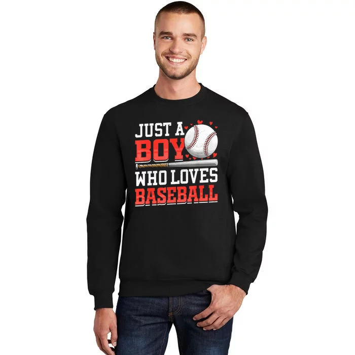 American Sport Just A Who Loves Baseball Gifts For Tall Sweatshirt