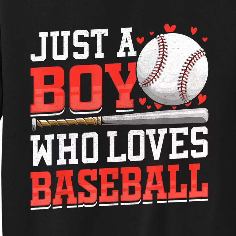 American Sport Just A Who Loves Baseball Gifts For Tall Sweatshirt