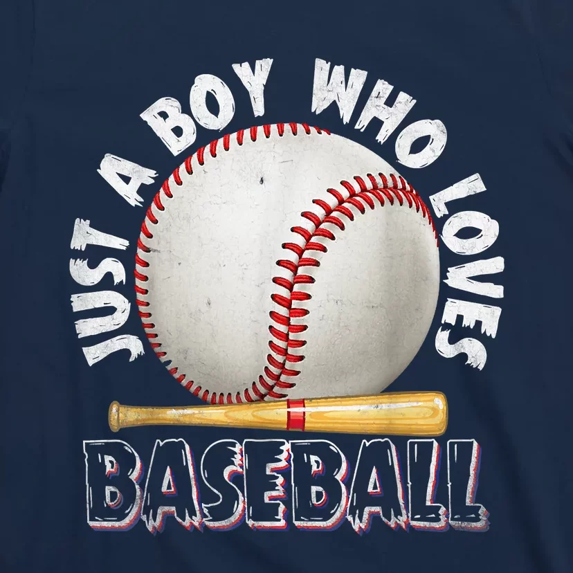 American Sport Just A Who Loves Baseball Gifts T-Shirt