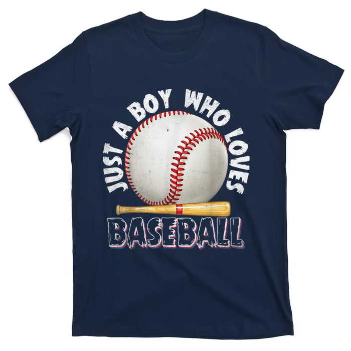 American Sport Just A Who Loves Baseball Gifts T-Shirt