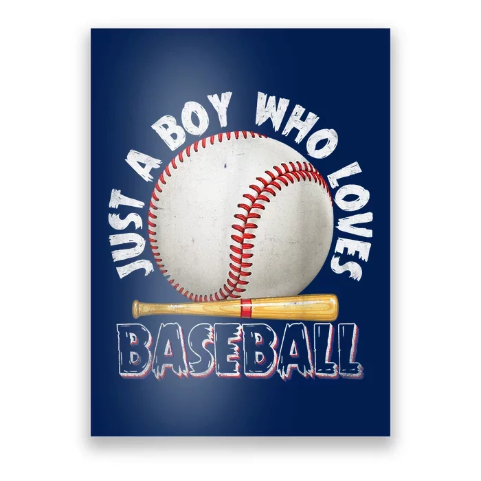 American Sport Just A Who Loves Baseball Gifts Poster