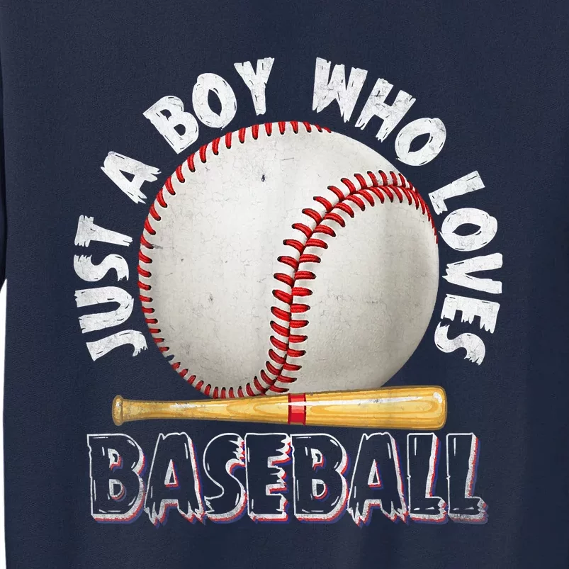 American Sport Just A Who Loves Baseball Gifts Tall Sweatshirt