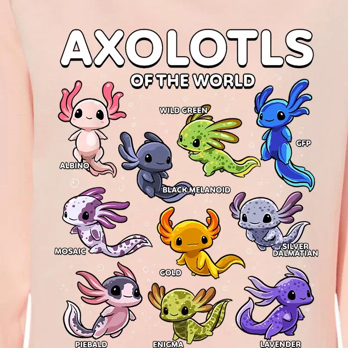 Axolotl Shirts Kawaii Axolotls Of The World Axolotl Animals Design Womens California Wash Sweatshirt