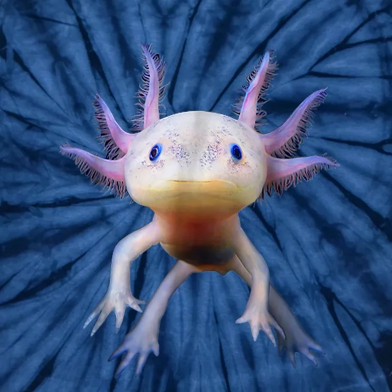 Axolotl Shirt: Limited Edition Tie-Dye T-Shirt