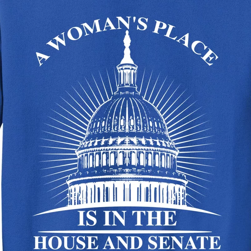 A S Place Is In The House And Senate Funny Gift Sweatshirt