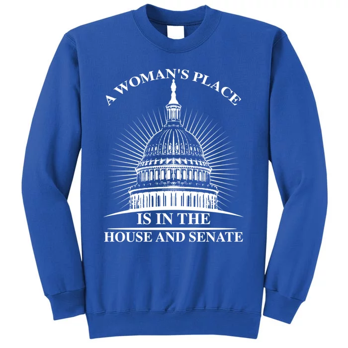 A S Place Is In The House And Senate Funny Gift Tall Sweatshirt