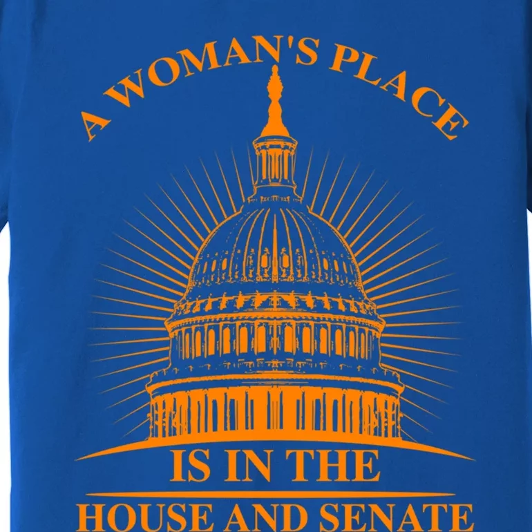 A S Place Is In The House And Senate Funny Gift Cool Gift Premium T-Shirt