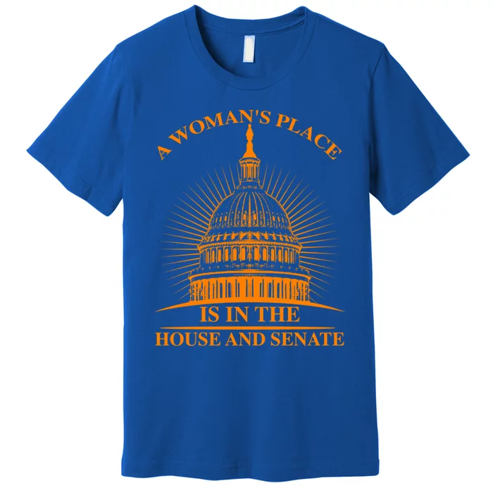 A S Place Is In The House And Senate Funny Gift Cool Gift Premium T-Shirt