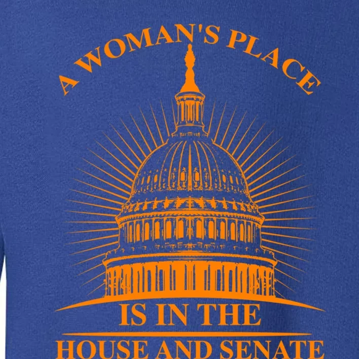 A S Place Is In The House And Senate Funny Gift Cool Gift Toddler Sweatshirt