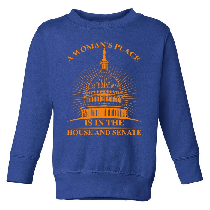 A S Place Is In The House And Senate Funny Gift Cool Gift Toddler Sweatshirt