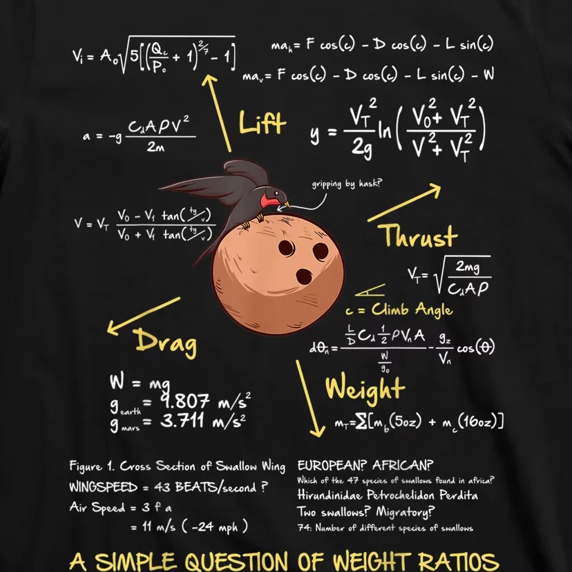 A Simple Question Of Weight Ratios Funny Math T-Shirt