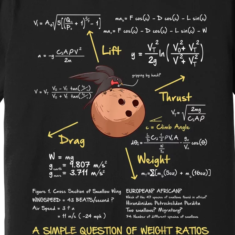 A Simple Question Of Weight Ratios Funny Math Premium T-Shirt