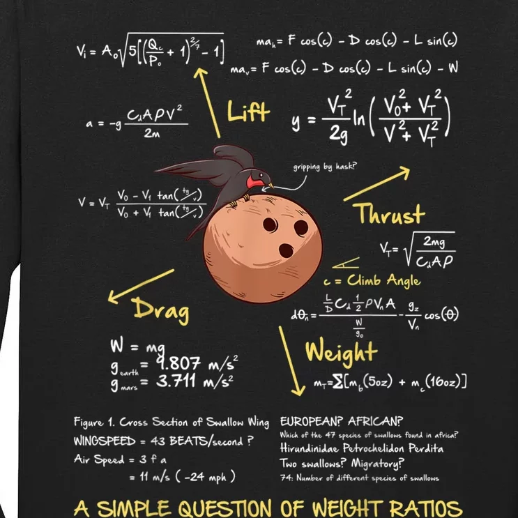 A Simple Question Of Weight Ratios Funny Math Tall Long Sleeve T-Shirt