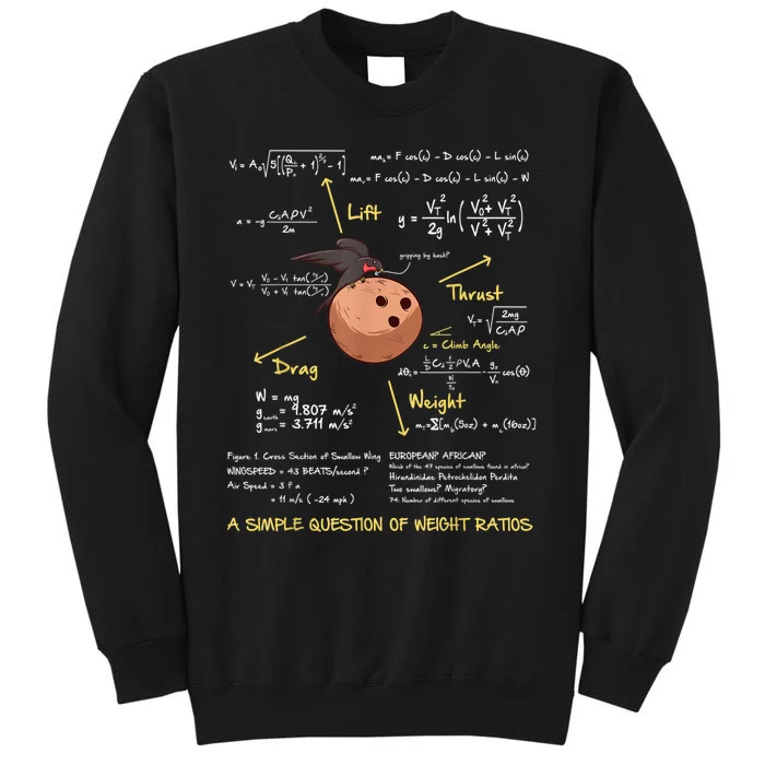 A Simple Question Of Weight Ratios Funny Math Tall Sweatshirt