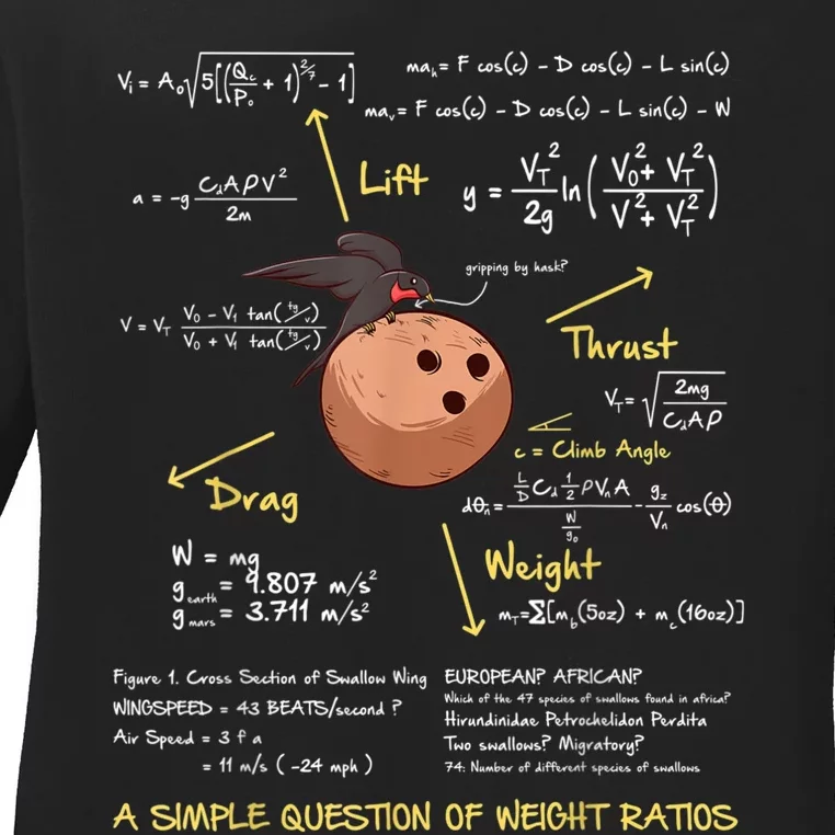 A Simple Question Of Weight Ratios Funny Math Ladies Long Sleeve Shirt