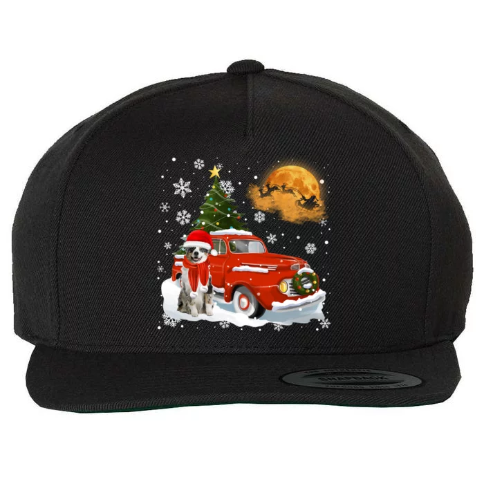 Australian Shepherd Snow Red Truck Pick Up Christmas Tree Cool Gift Wool Snapback Cap