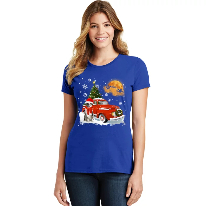 Australian Shepherd Snow Red Truck Pick Up Christmas Tree Cool Gift Women's T-Shirt