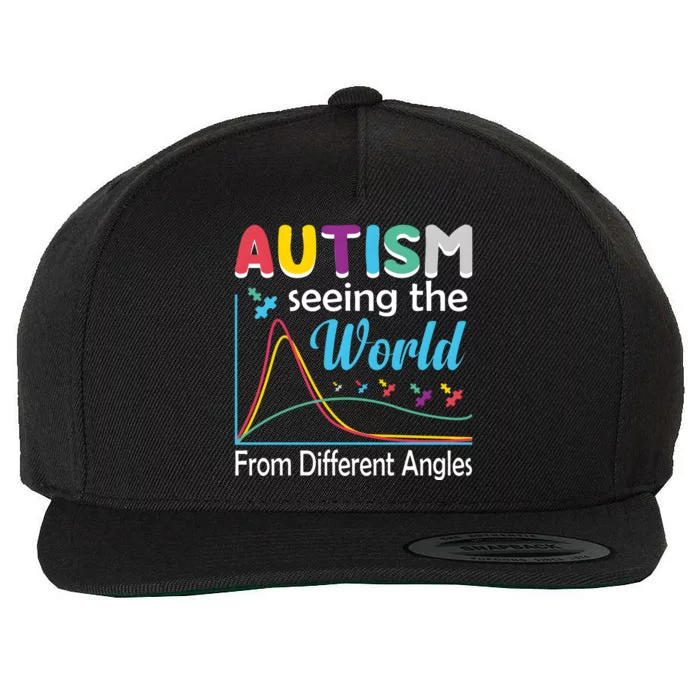 Autism Seeing The World From Different Angle Wool Snapback Cap