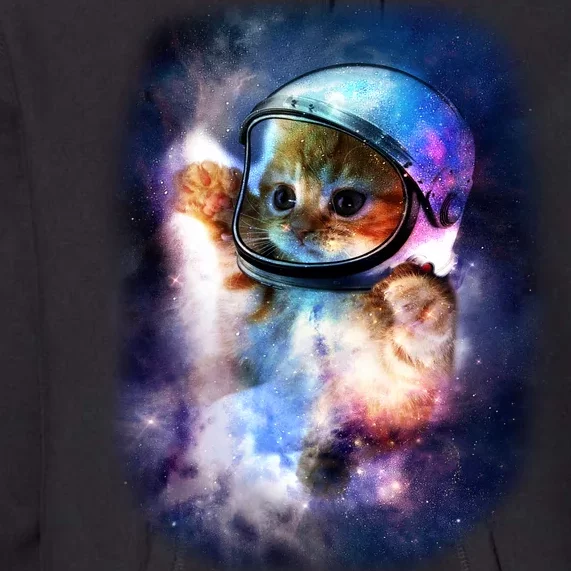 Astronaut Cat In Space Premium Hoodie