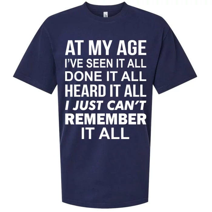 At My Age I Seen Done Heard Can't Remember It All Sueded Cloud Jersey T-Shirt