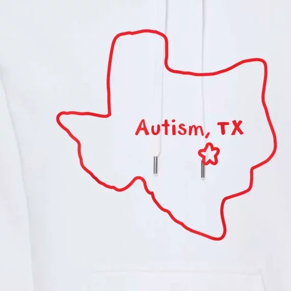 Autism Texas 2024 Premium Hoodie