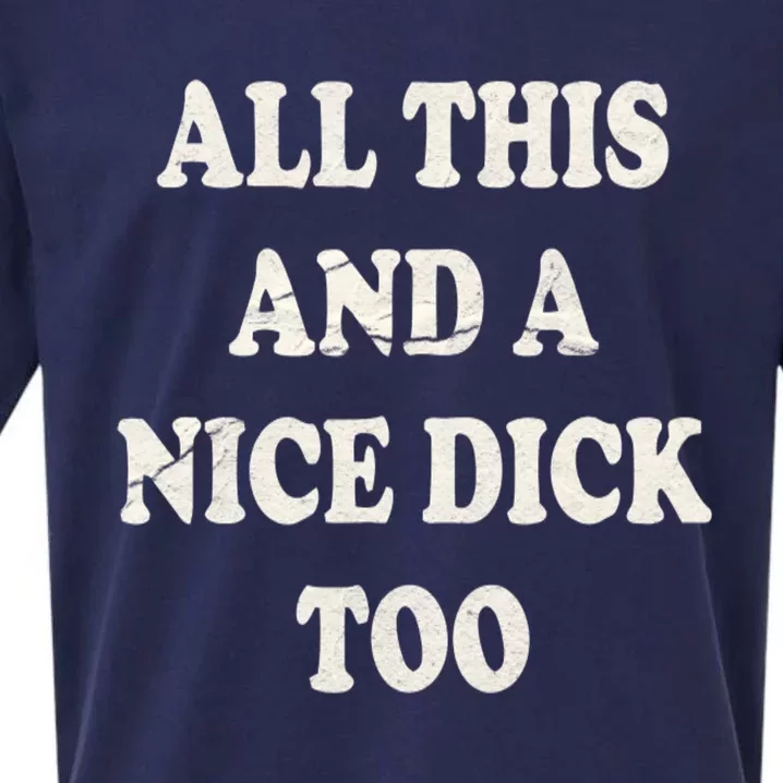 All This And A Nice Dick Too Vintage Offensive Adult Humor Sueded Cloud Jersey T-Shirt