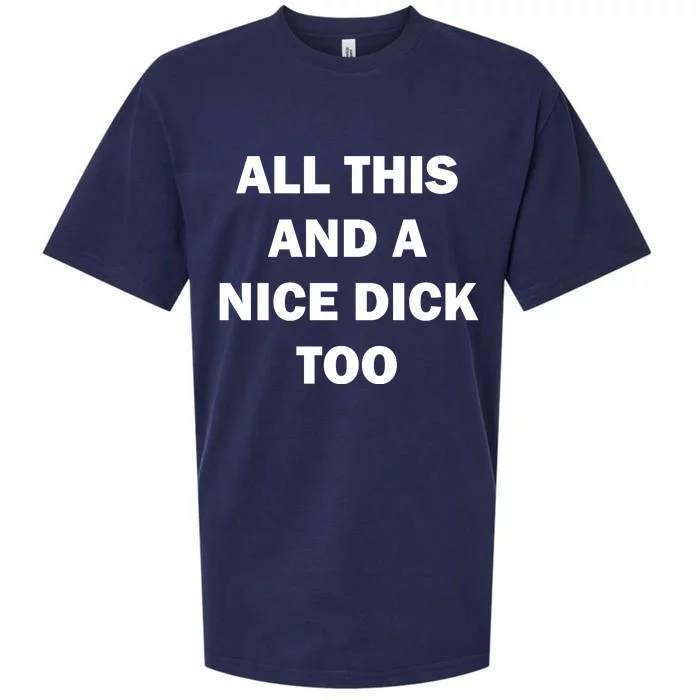 All This And A Nice Dick Too Offensive Adult Humor Sueded Cloud Jersey T-Shirt