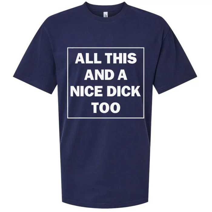 All This And A Nice Dick Too Funny Saying Sueded Cloud Jersey T-Shirt