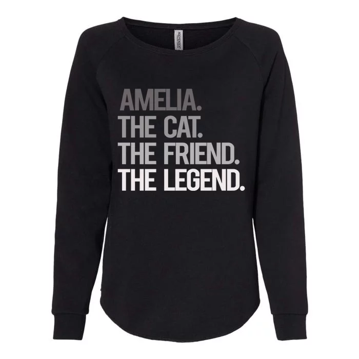 Amelia The Cat The Friend The Legend National Pet Day Cute Gift Womens California Wash Sweatshirt