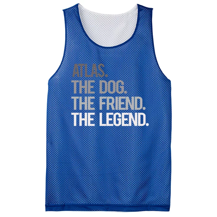 Atlas The Dog The Friend The Legend National Pet Day Gift Mesh Reversible Basketball Jersey Tank