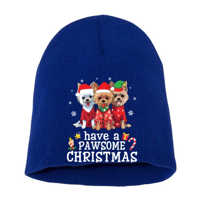 Australian Terrier Dogs Merry Day Have A Pawsome Christmas Gift Short Acrylic Beanie