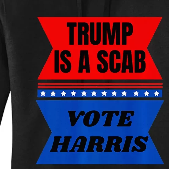 Anti Trump Fun Laundry Detergent Vote Harris 2024 Election Premium Women's Pullover Hoodie