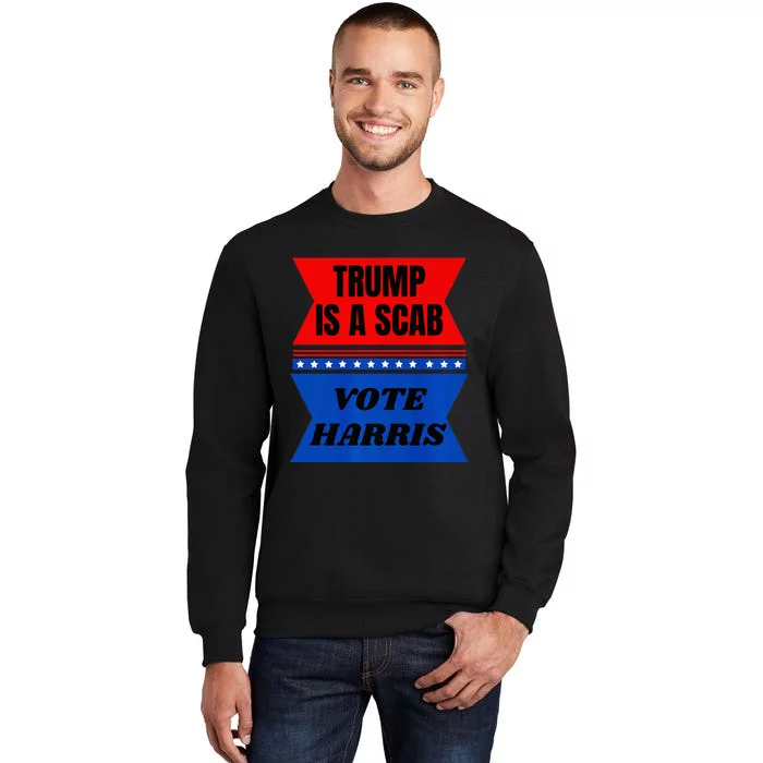 Anti Trump Fun Laundry Detergent Vote Harris 2024 Election Premium Tall Sweatshirt