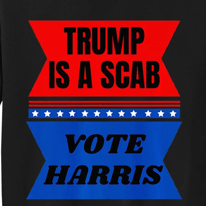 Anti Trump Fun Laundry Detergent Vote Harris 2024 Election Premium Tall Sweatshirt