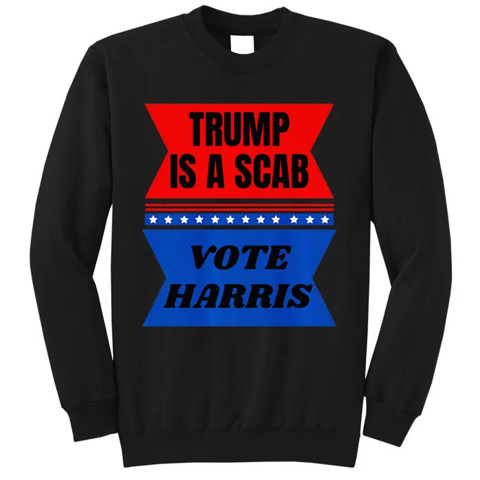 Anti Trump Fun Laundry Detergent Vote Harris 2024 Election Premium Tall Sweatshirt